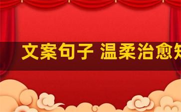 文案句子 温柔治愈短句